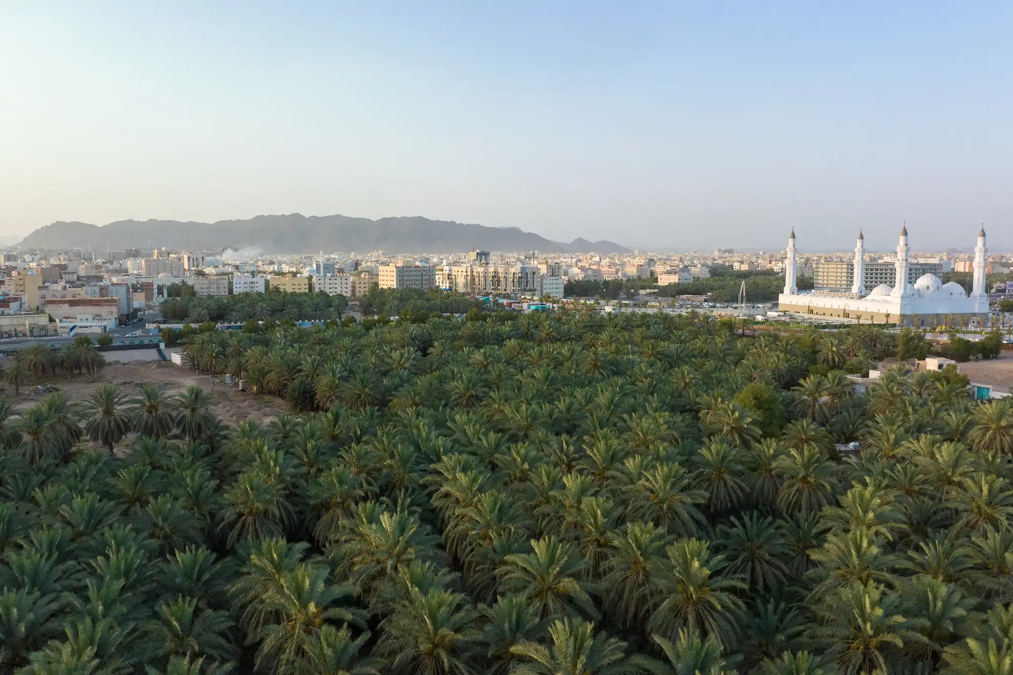 Surroundings and pathway around Athq Well in Medina