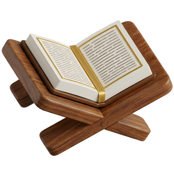 Medina knowledge and local stories