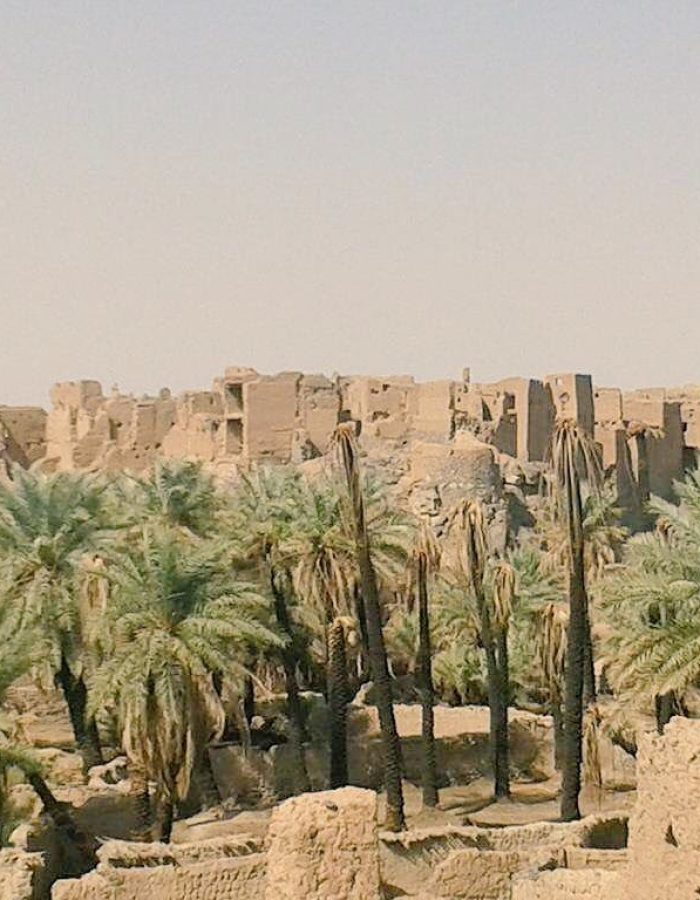 Al-Wateeh Fortress