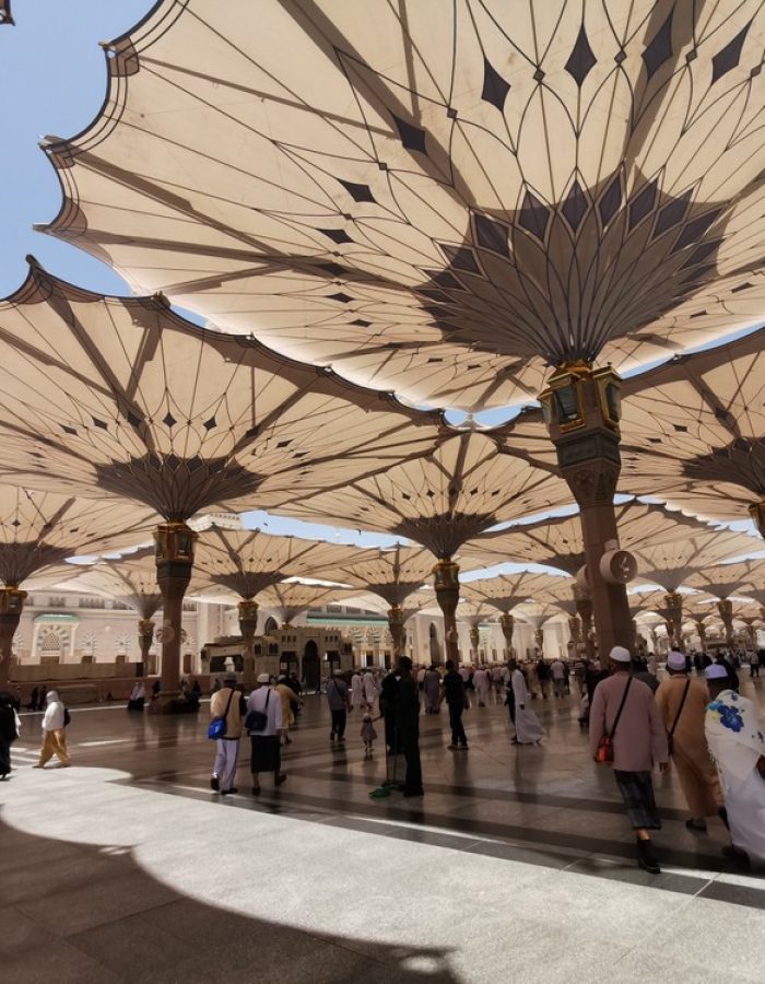 The Umbrellas of the Mosque